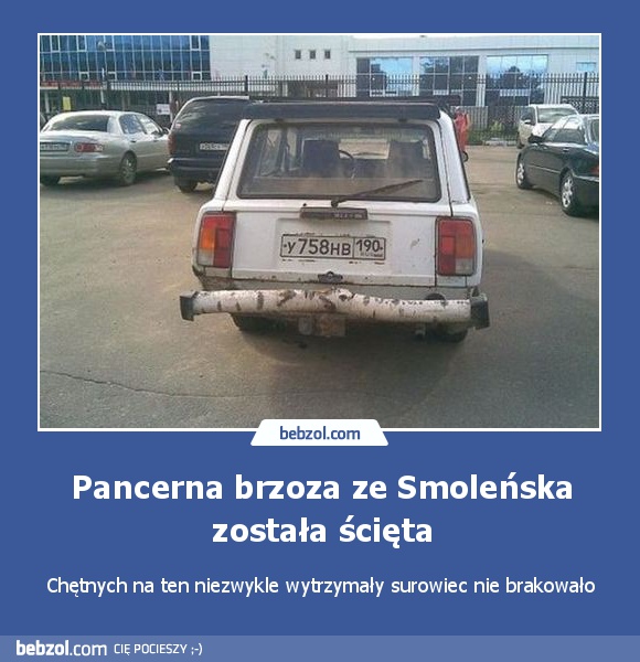 Pancerna brzoza ze Smoleńska została ścięta