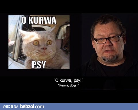 Kur*a w języku polskim