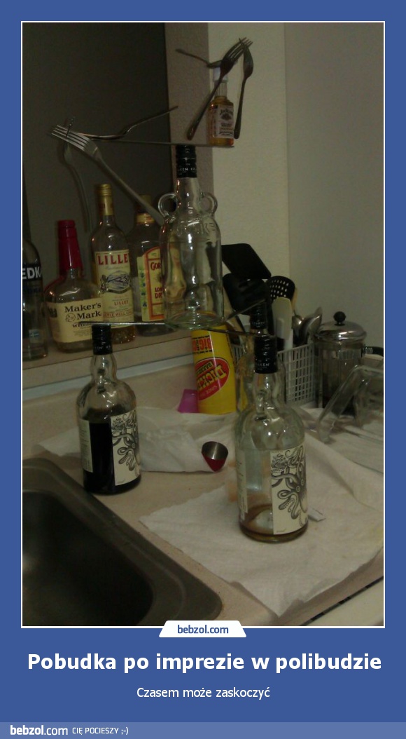 Pobudka po imprezie w polibudzie