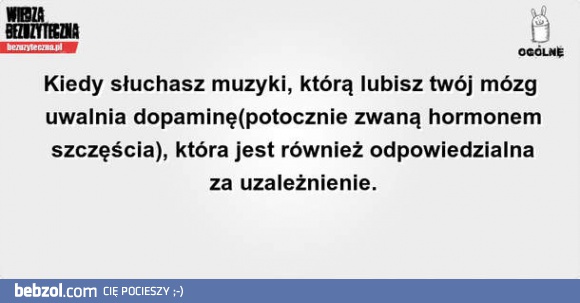 To dlatego się uzależniasz