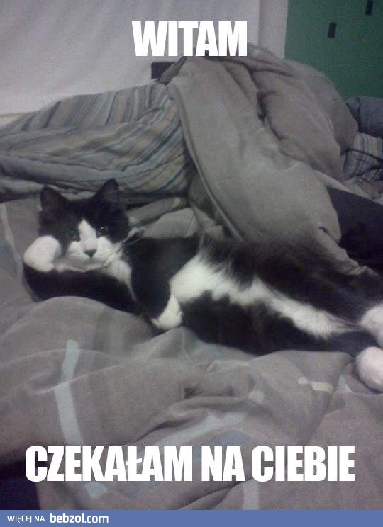 Czekałem na ciebie!