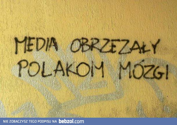 Media obrzezały Polakom mózg