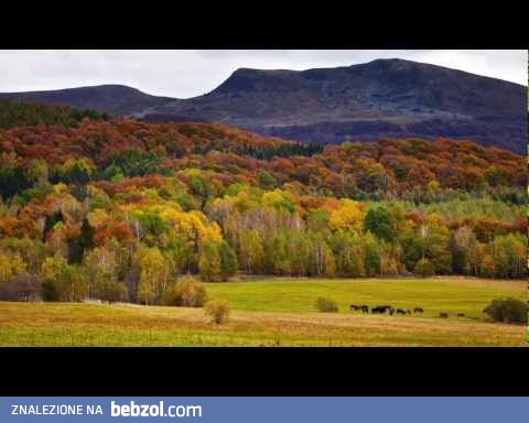 Bieszczady jesienią...