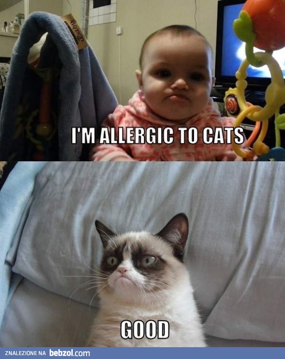 Mam alergię na koty