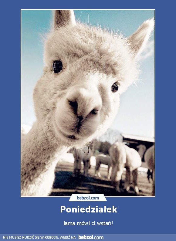 Poniedziałek