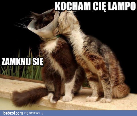 Kocham cię lampo!