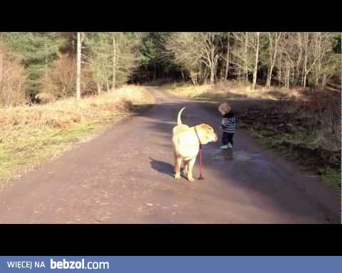 Najlepszy przyjaciel zawsze zaczeka