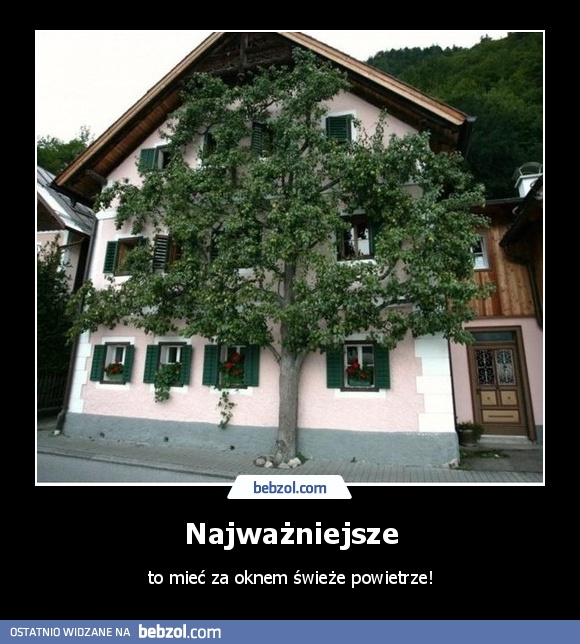 Najważniejsze