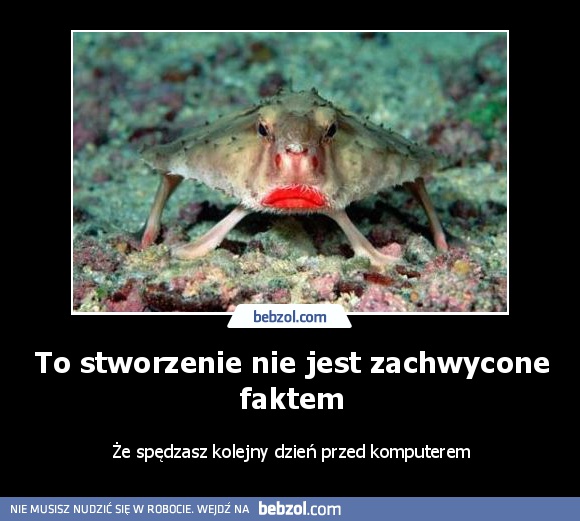 To stworzenie nie jest zachwycone faktem