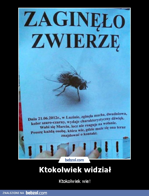 Ktokolwiek widział