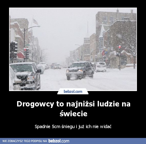 Drogowcy to najniżsi ludzie na świecie