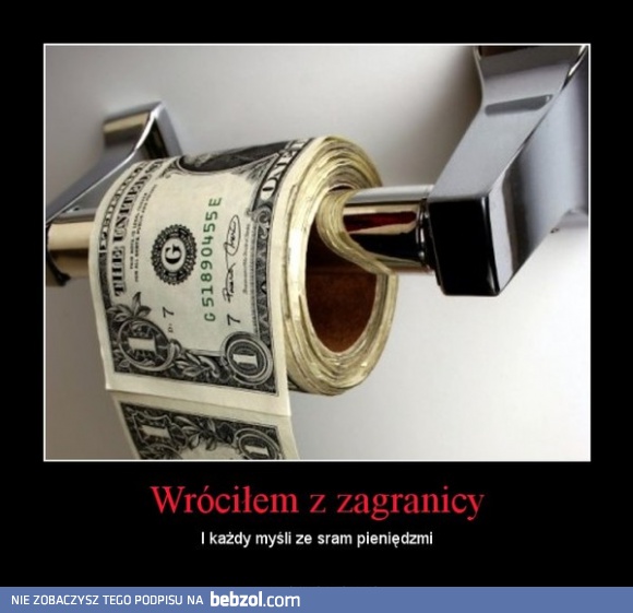 Wróciłem z zagranicy