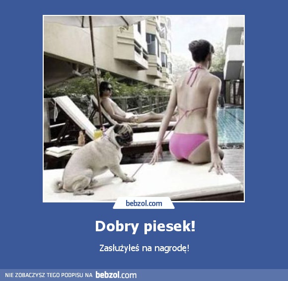 Dobry piesek!