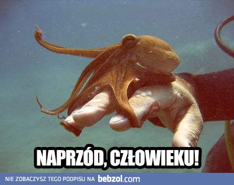 Naprzód człowieku!