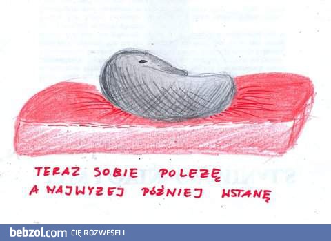 Najwyżej sobie poleżę