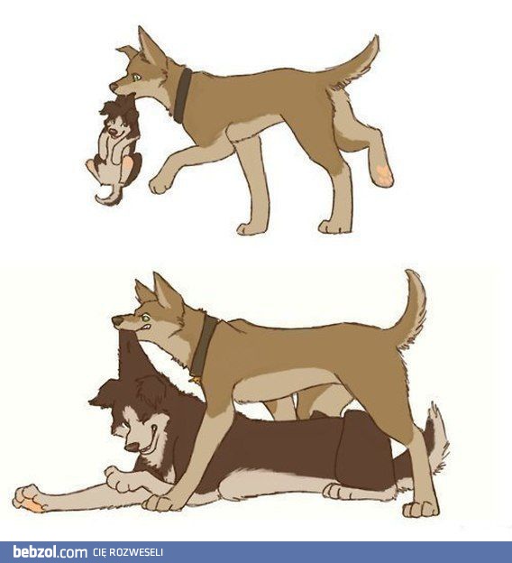 Wszyscy kiedyś dorastamy