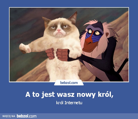 A to jest wasz nowy król,