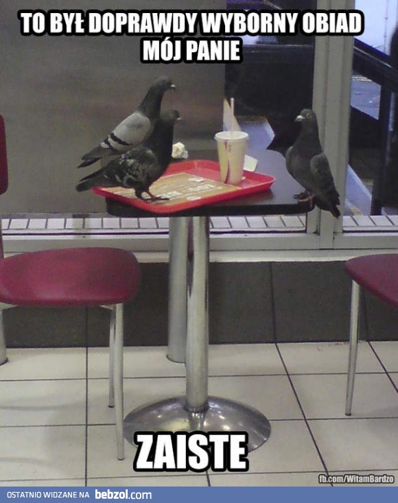 Kulturalnie sobie zjadły