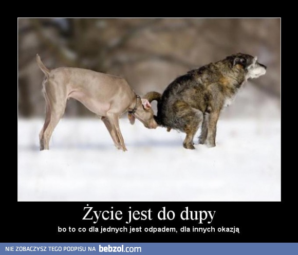 Życie jest do dupy