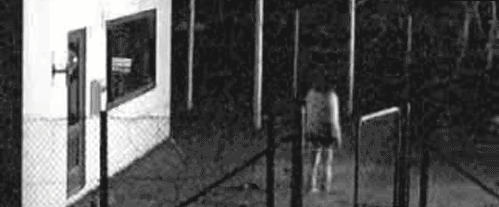 Genialni włamywacze