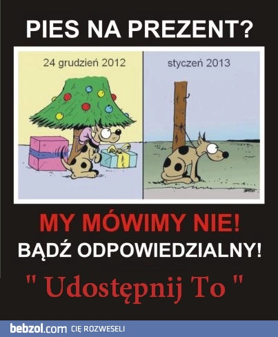 Pies na prezent?