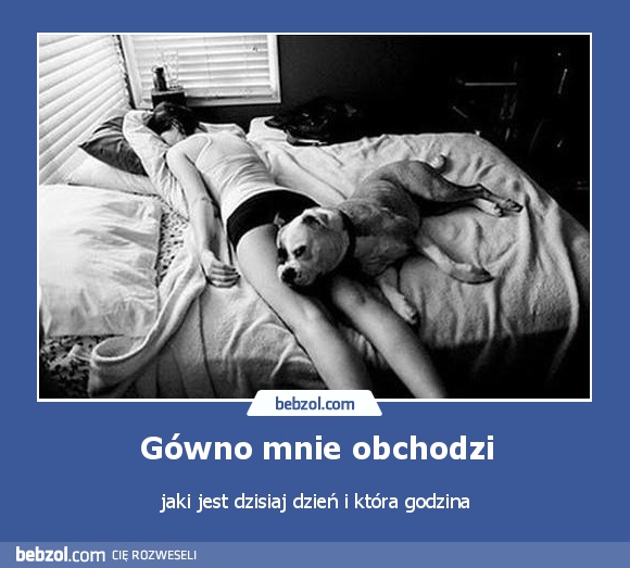 Gówno mnie obchodzi