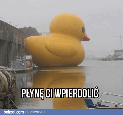 Płynę Ci wpier*olić