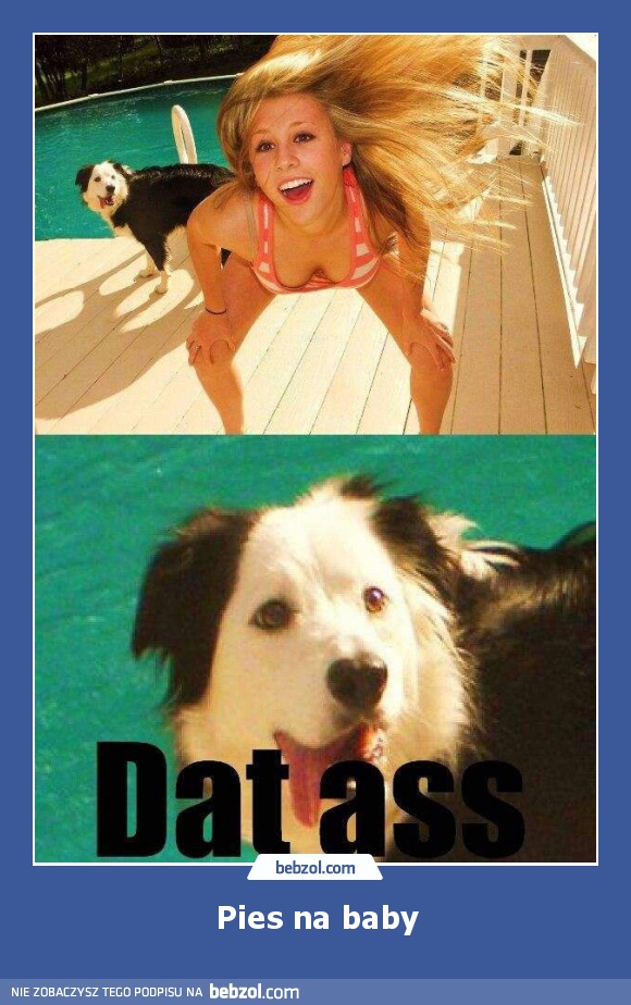 Pies na baby