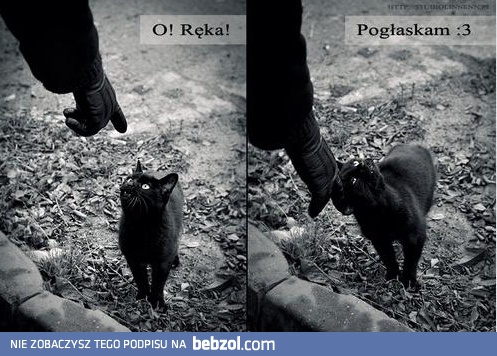 O, ręka!