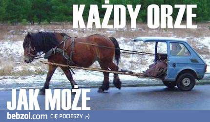 Każdy orze jak może