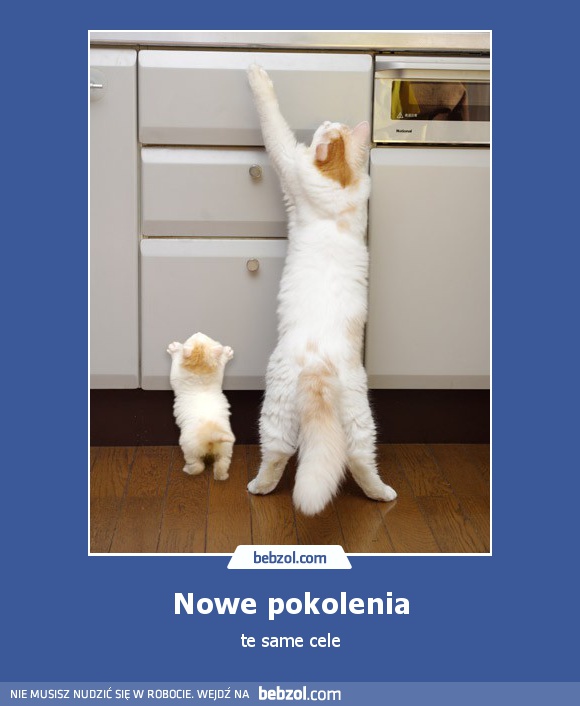 Nowe pokolenia