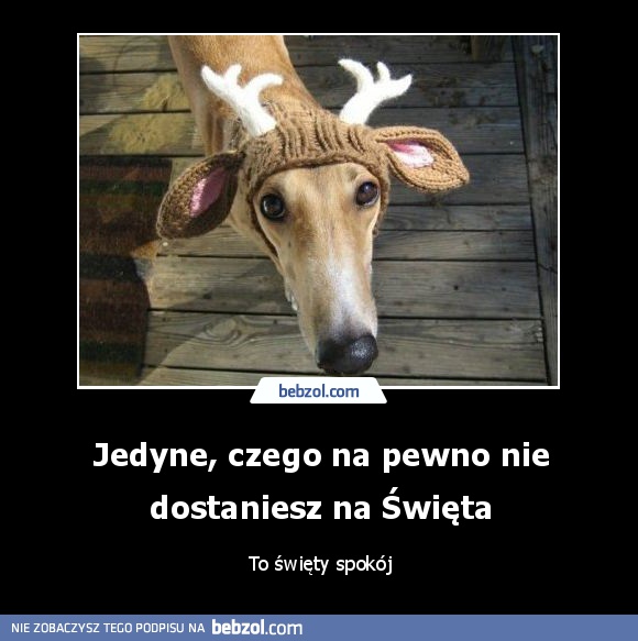 Jedyne, czego na pewno nie dostaniesz na Święta