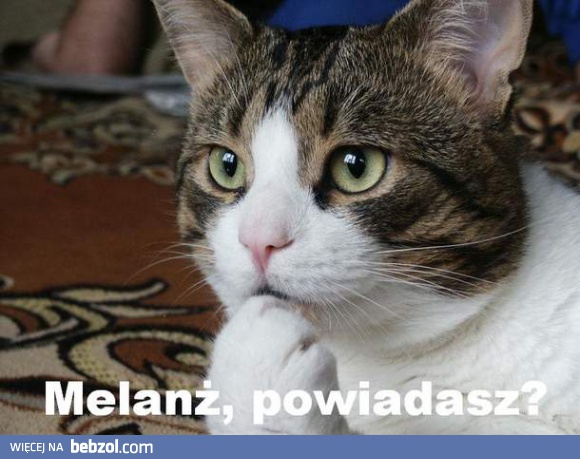 Melanż, powiadasz?