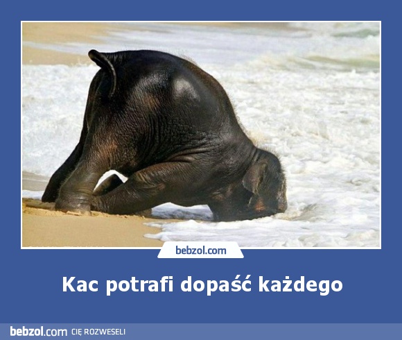 Kac potrafi dopaść każdego