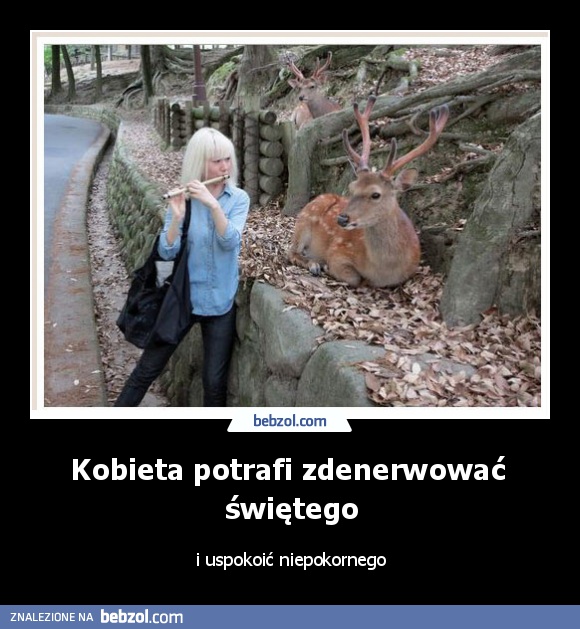 Kobieta potrafi zdenerwować  świętego