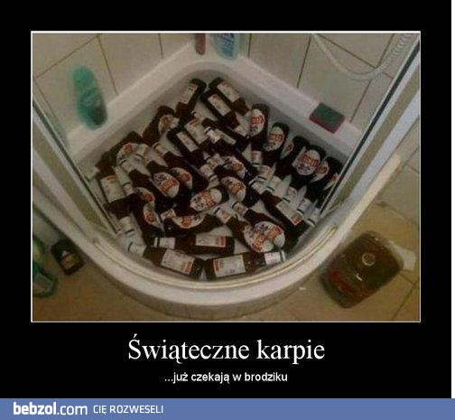 Świątecznie karpie