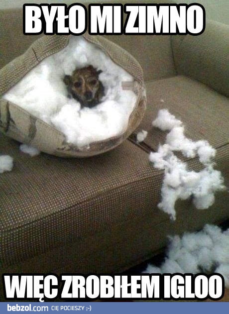 Było mi zimno