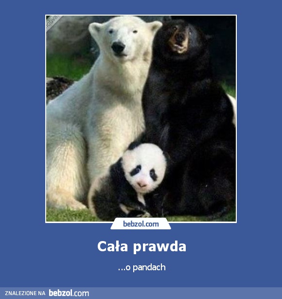 Cała prawda