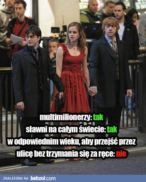 Po prostu Harry Potter