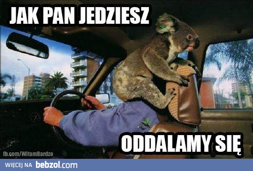 Jak pan jedziesz!