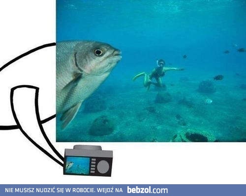 Słodka focia pod wodą