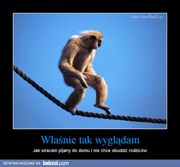 Właśnie tak wyglądam