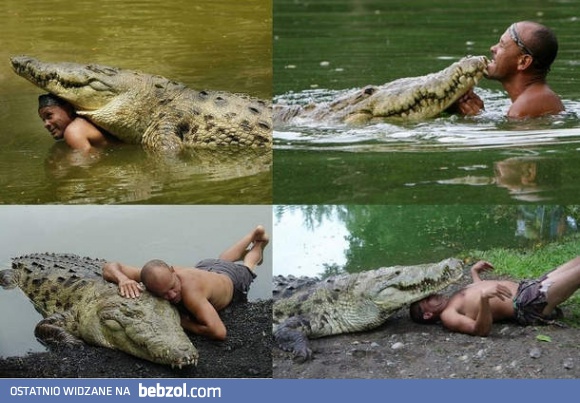 Takie tam z krokodylkiem