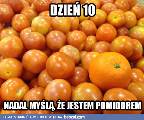 Wszystko zgodnie z planem