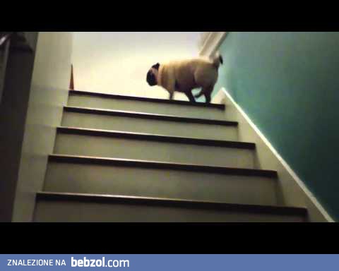 A po schodach wchodzę tak!