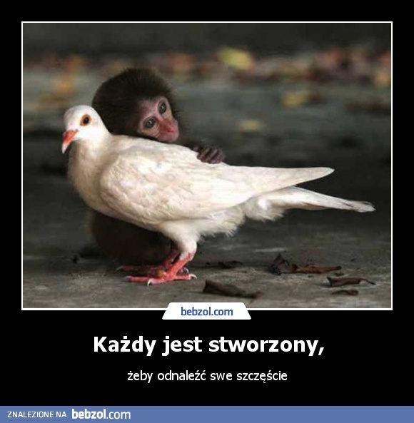 Każdy jest stworzony,