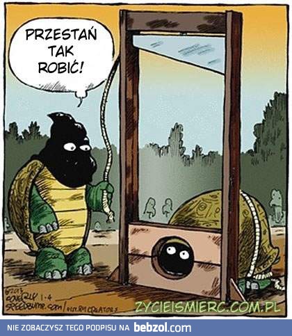 Egzekucja żółwia