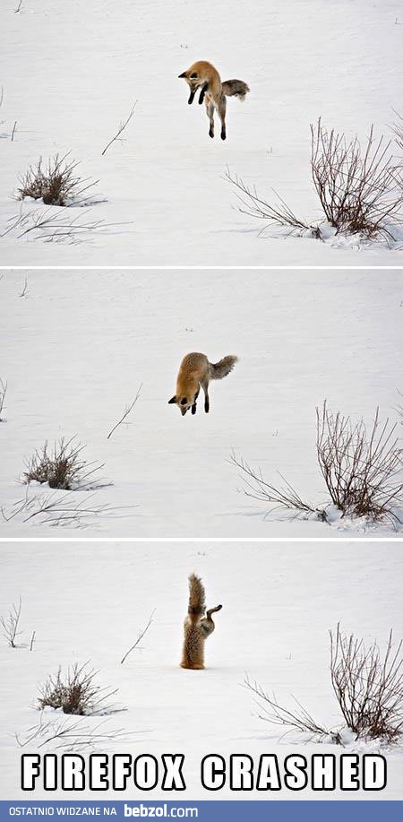 Firefox Crash