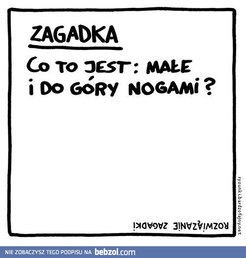 Zagadka