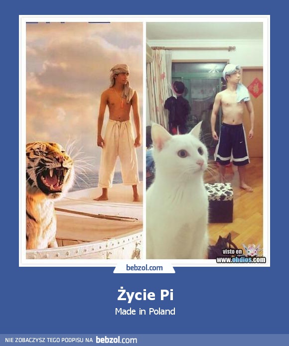 Życie Pi